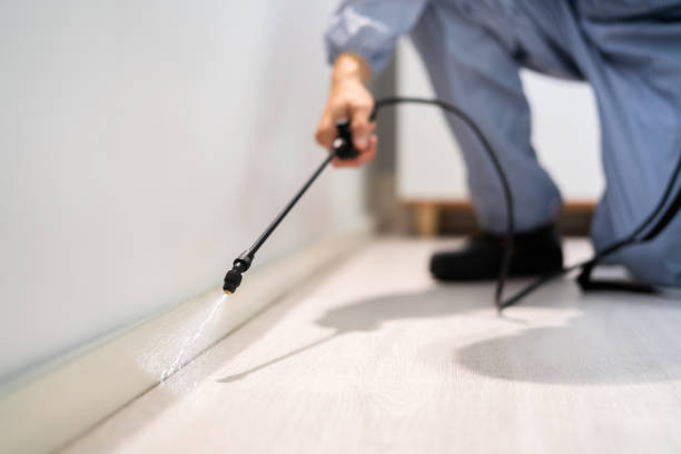 Licensed Pest Control service in San Carlos Park, FL - Show Me Pest Control