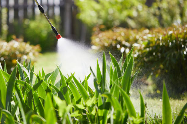24/7 Emergency Wasp Removal experts in San Carlos Park, FL