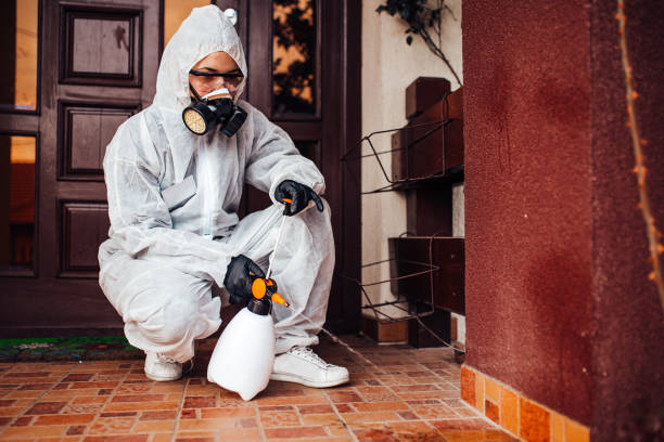 Reliable Wasp Removal contractor in San Carlos Park, FL by Show Me Pest Control