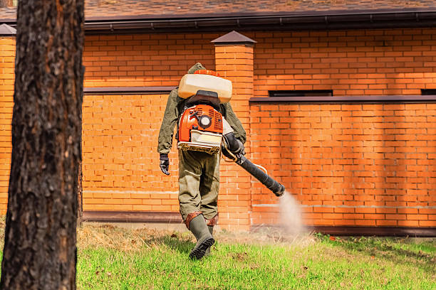 Top rated local Wasp Removal specialists in San Carlos Park, FL